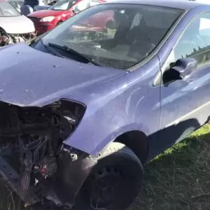 RENAULT CLIO 2007 ΤΡΟΜΠΕΤΟ ΜΟΥΡΑΚΙ ΚΟΜΠΛΕ